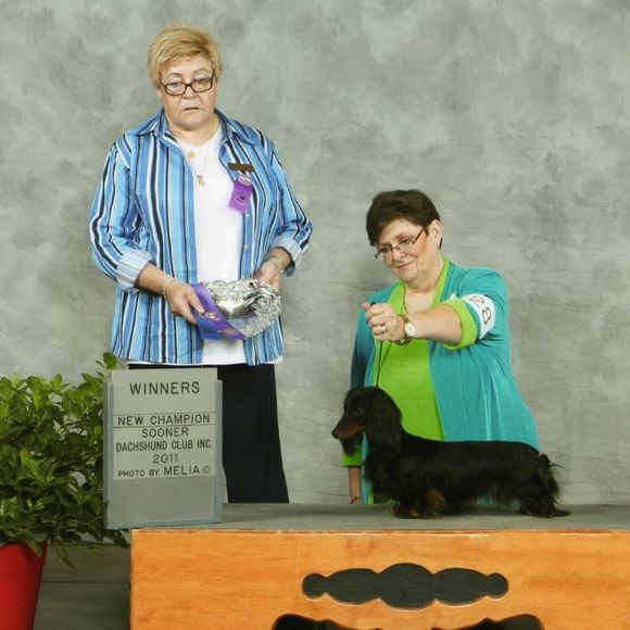 Meet your Posher, Wendy - Picture 1 of 1